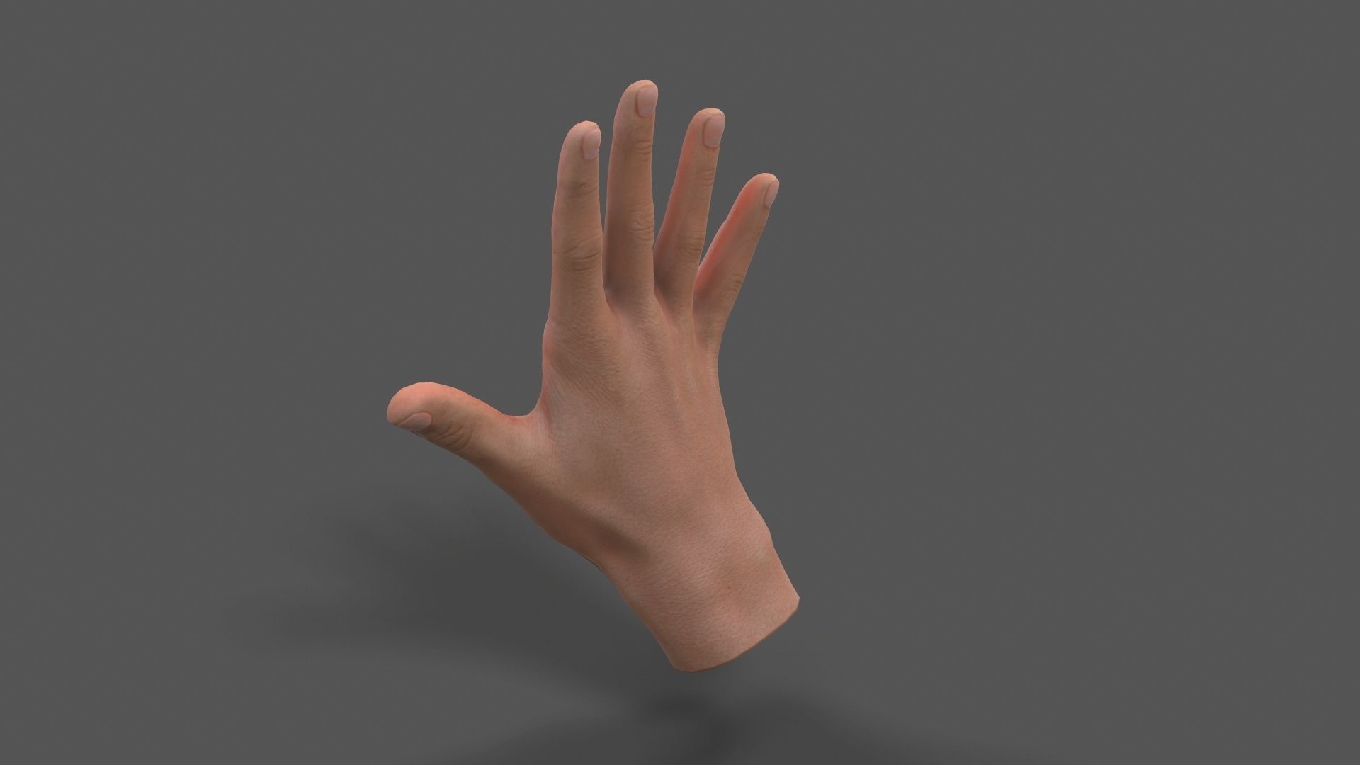 VR Hands - Male Hands Low-poly 3D model_3