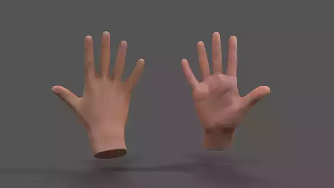 VR Hands - Male Hands Low-poly 3D model