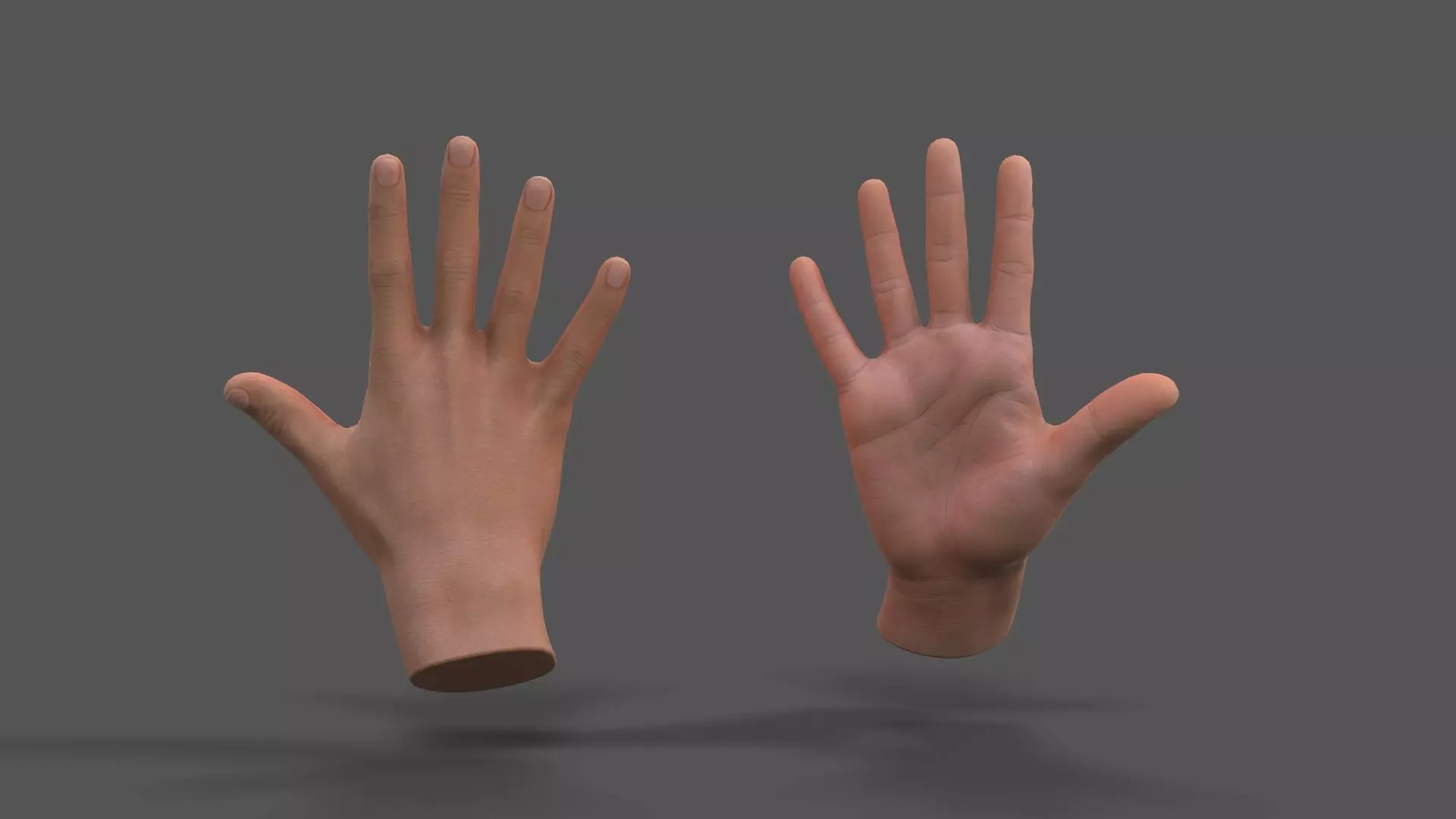 VR Hands - Male Hands Low-poly 3D model_0