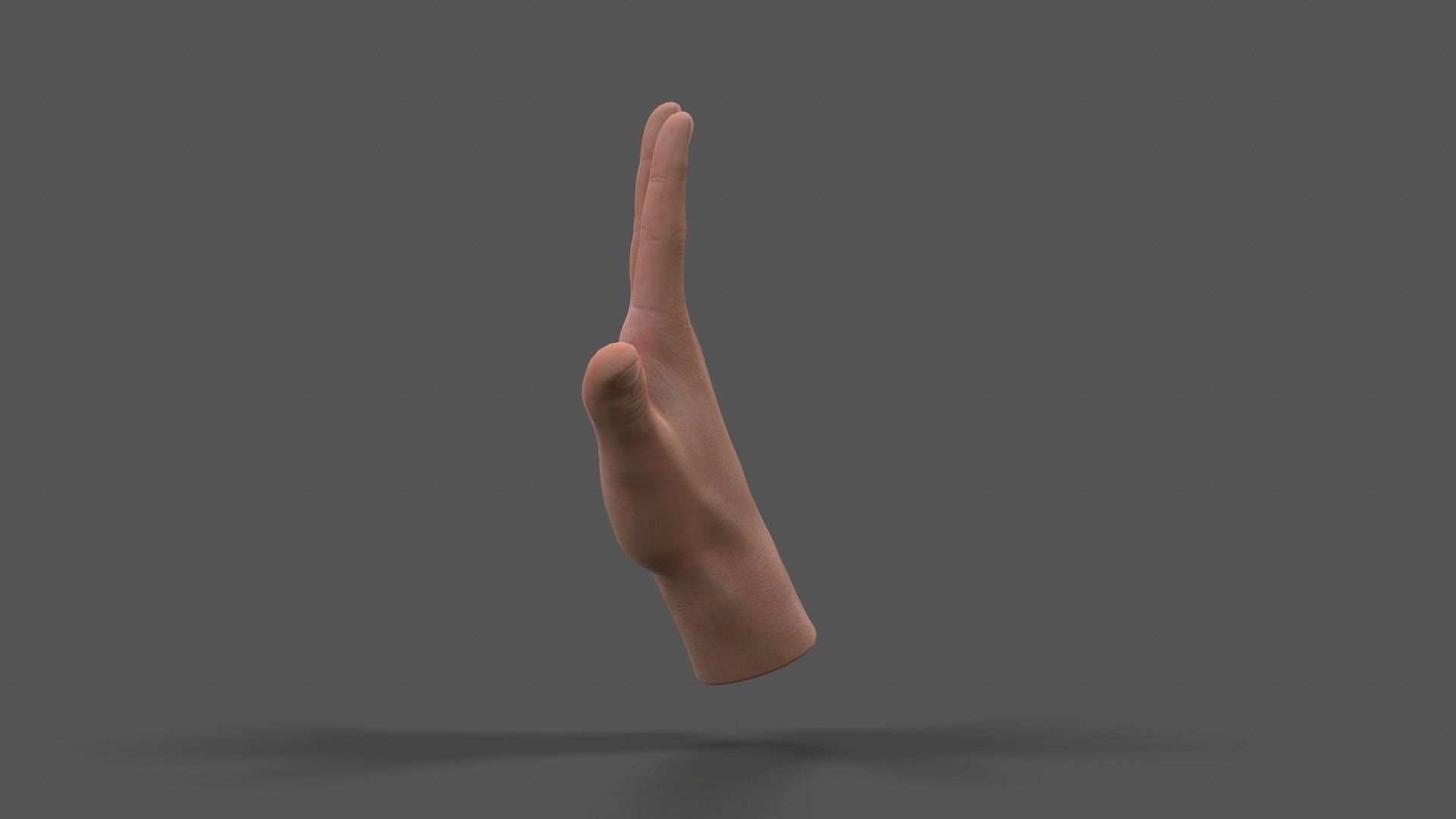 VR Hands - Male Hands Low-poly 3D model_2