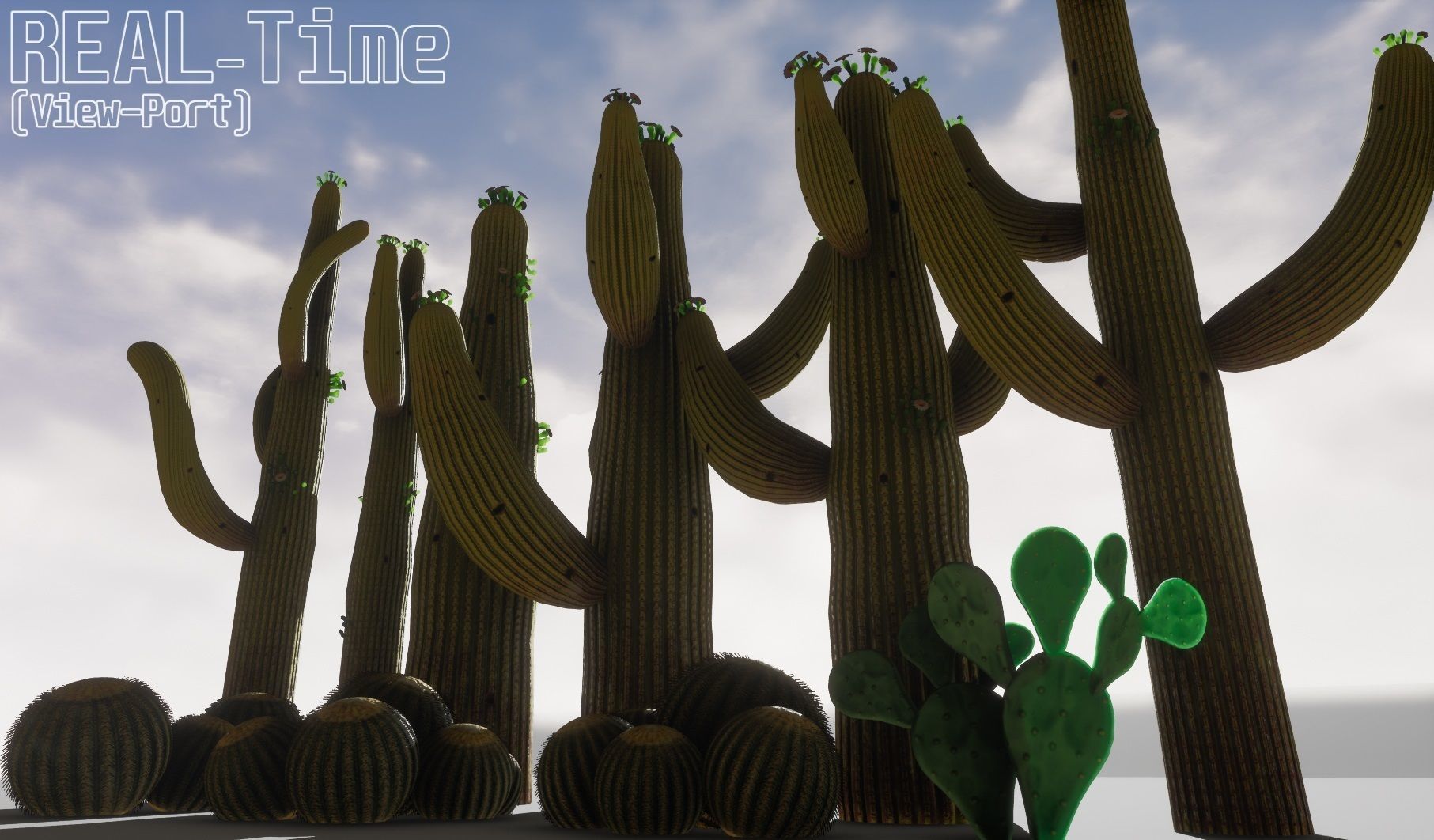 cactus - Game Ready - VR AR Low-poly 3D model_9