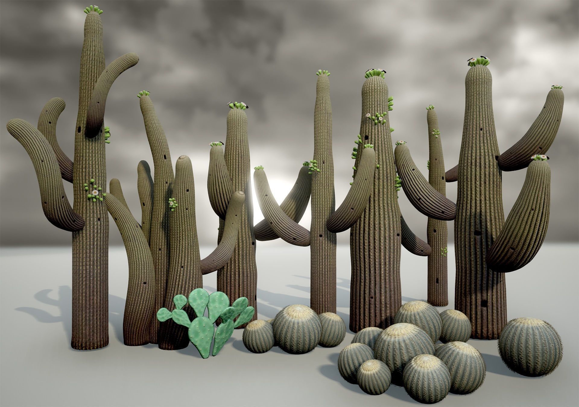 cactus - Game Ready - VR AR Low-poly 3D model_3