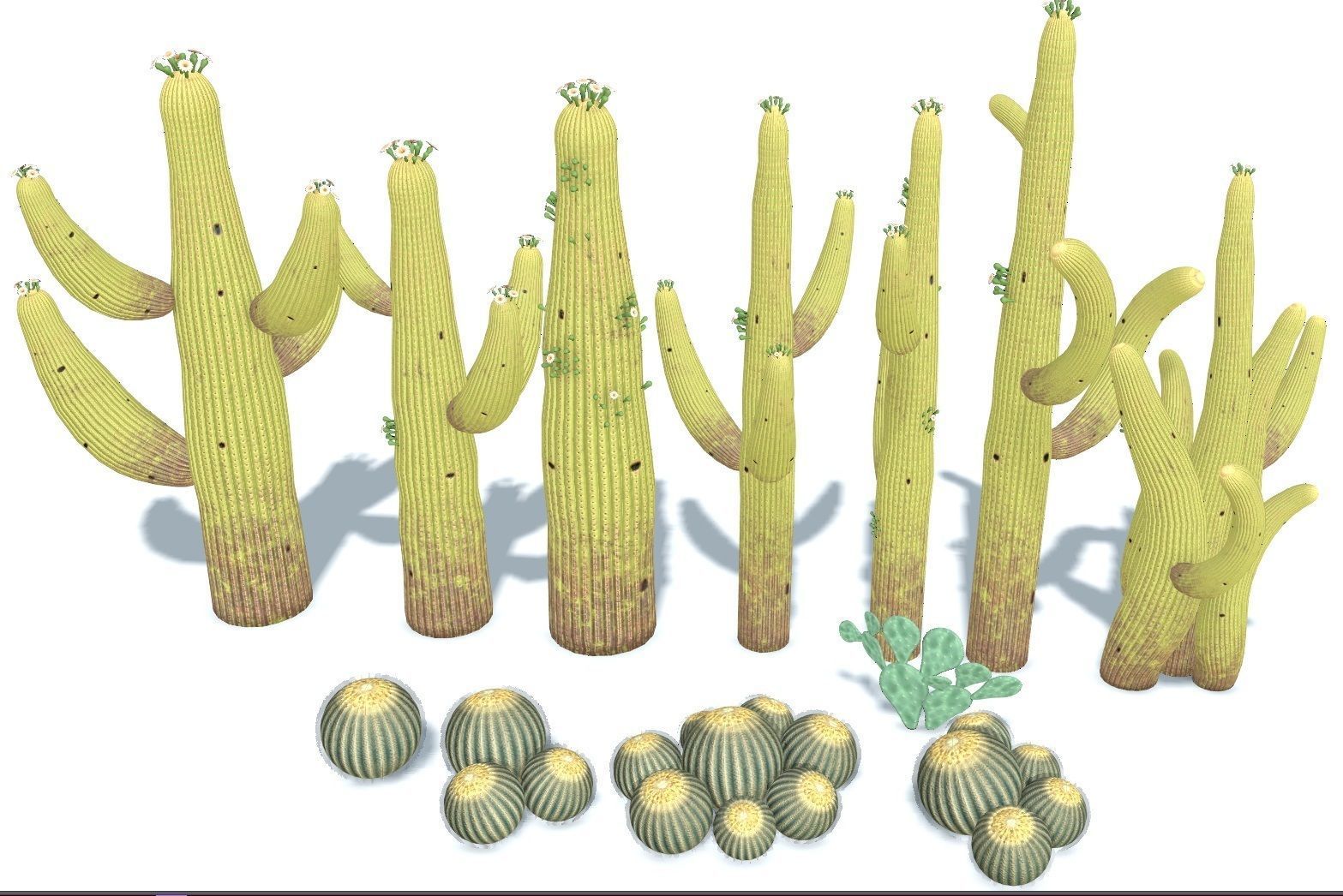cactus - Game Ready - VR AR Low-poly 3D model_16