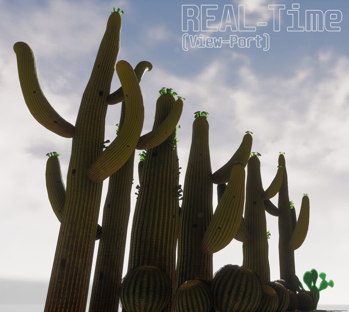 cactus - Game Ready - VR AR Low-poly 3D model_13