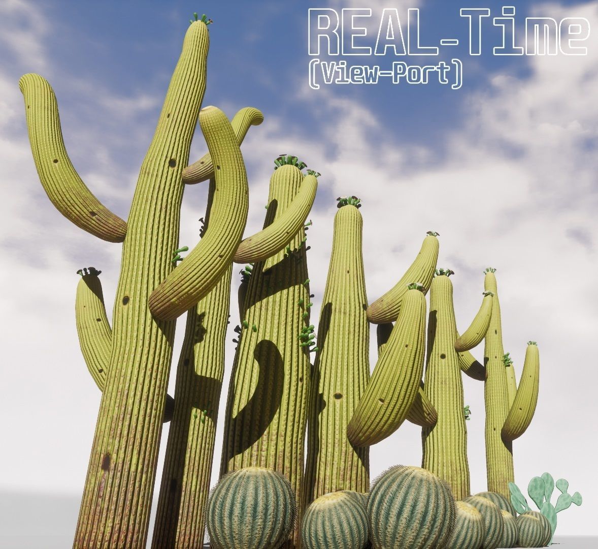 cactus - Game Ready - VR AR Low-poly 3D model_12