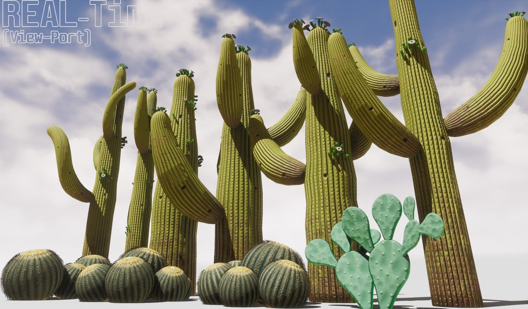 cactus - Game Ready - VR AR Low-poly 3D model_10