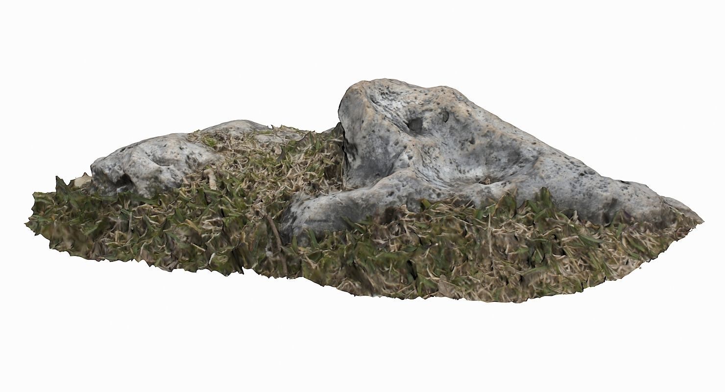 Grassy Rock Low-poly 3D model_2