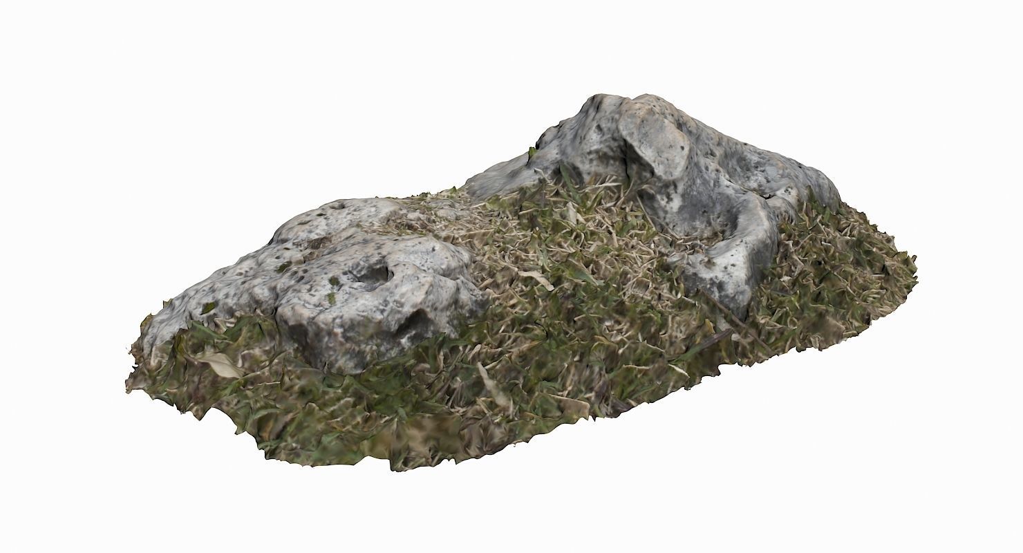 Grassy Rock Low-poly 3D model_1