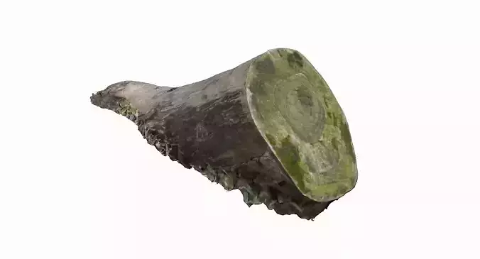 Mossy Log Low-poly 3D model