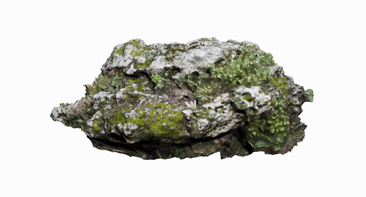 Mossy Rock Low-poly 3D model_1