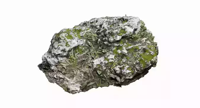 Mossy Rock