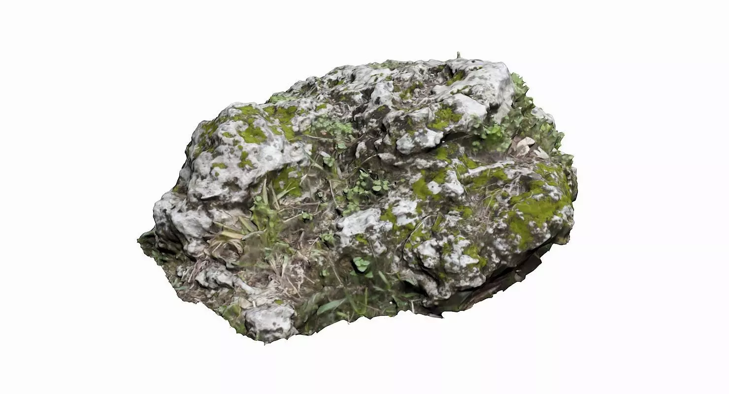 Mossy Rock Low-poly 3D model_0