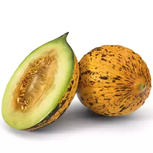 realistic melon scan model