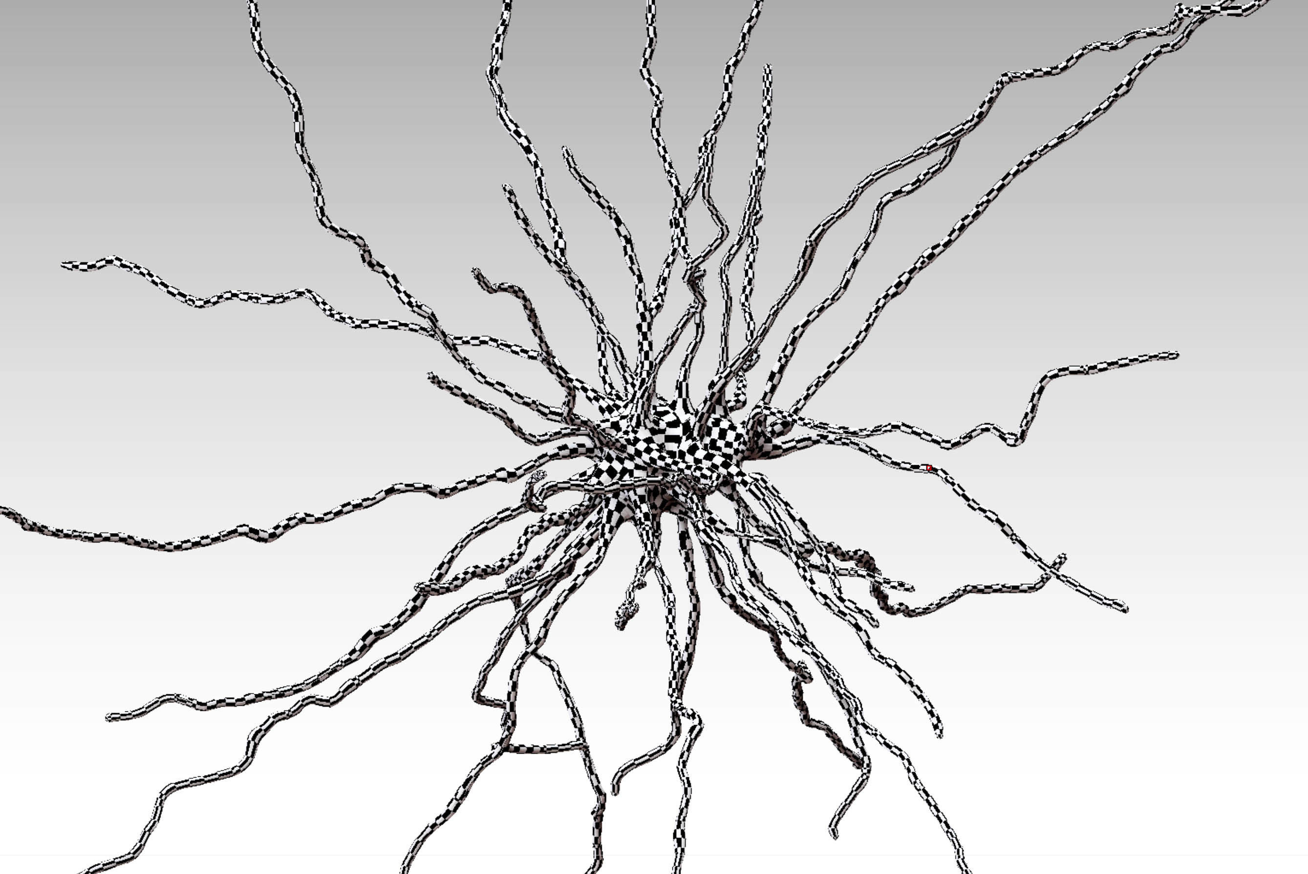 Fibrous astrocyte 3D model_3
