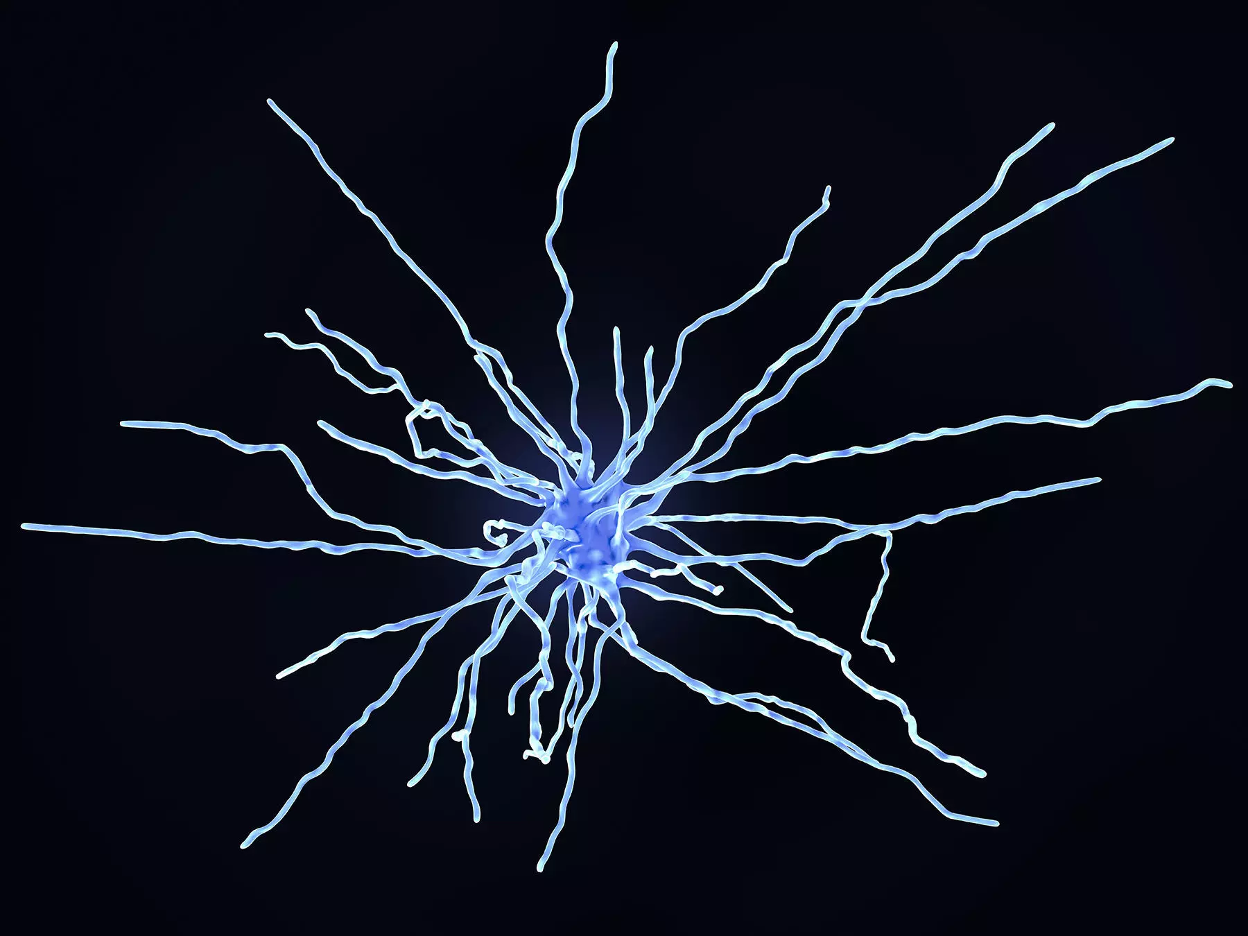 Fibrous astrocyte 3D model_0
