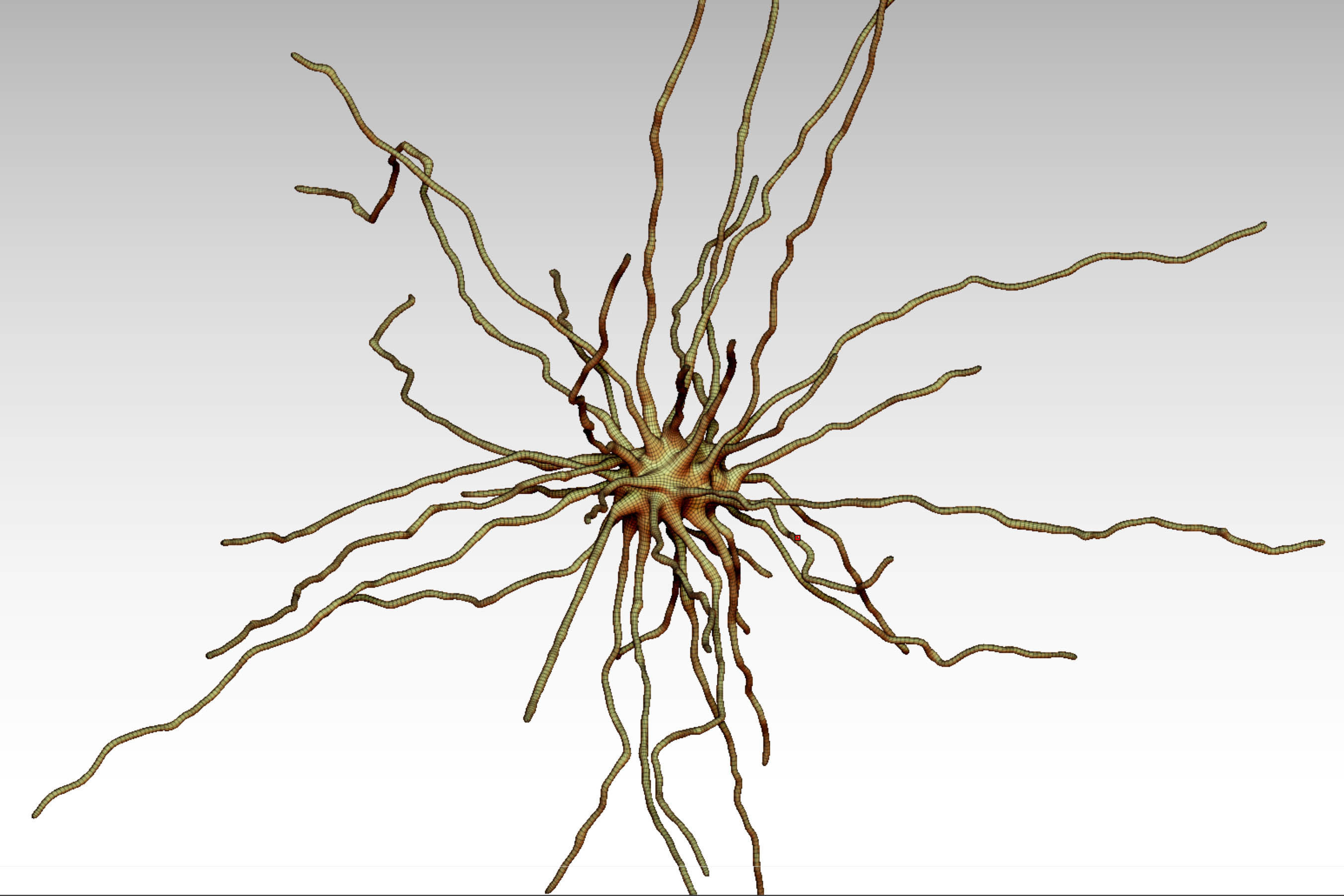 Fibrous astrocyte 3D model_2