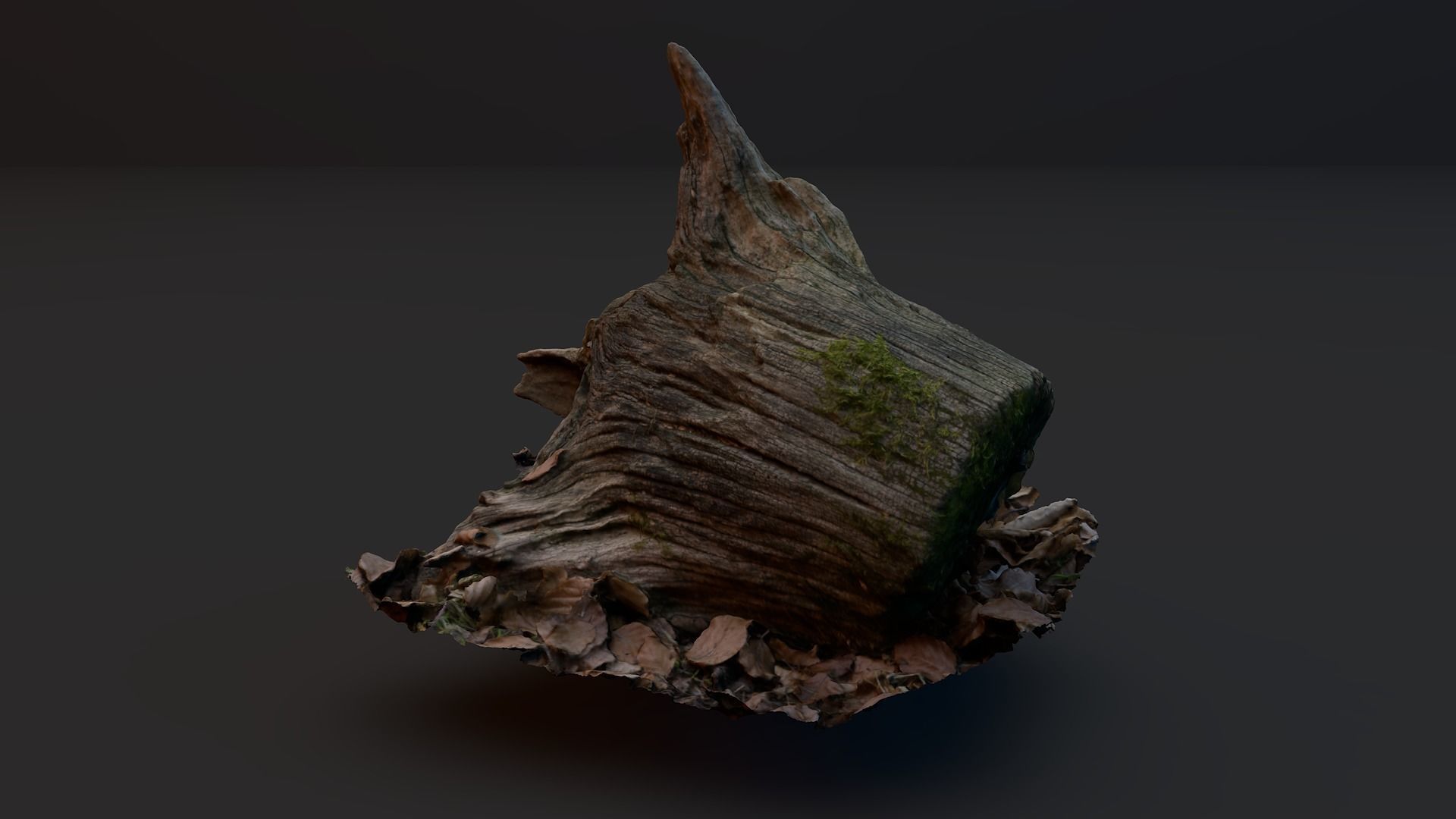 Tree Stump 2 3D model_2
