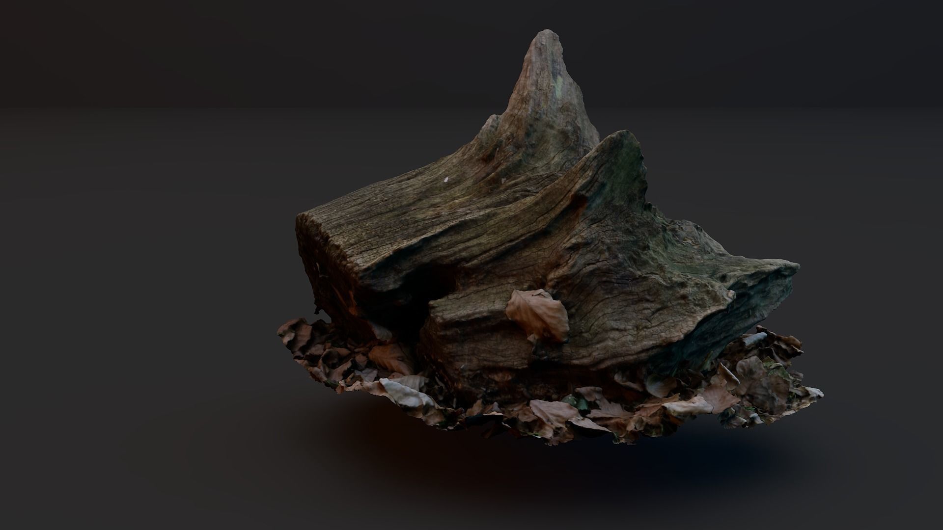 Tree Stump 2 3D model_1
