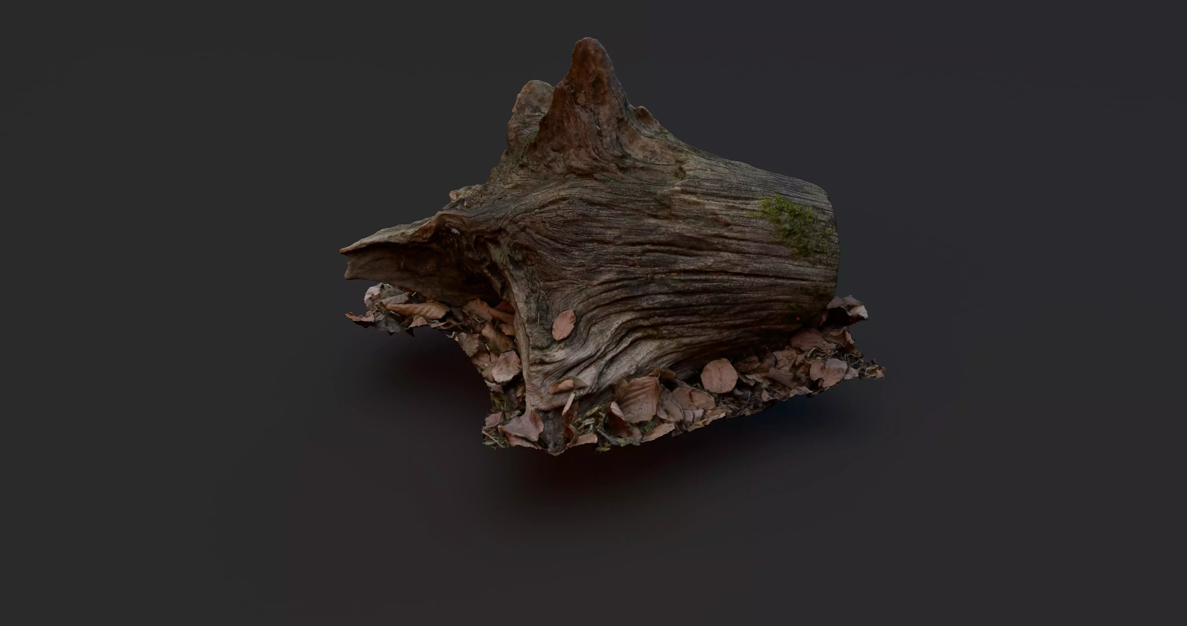 Tree Stump 2 3D model_0