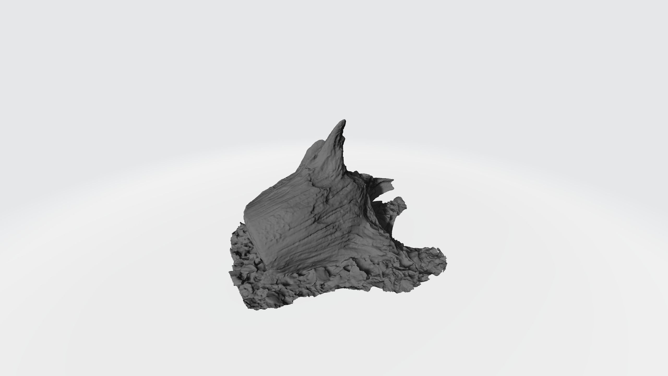 Tree Stump 2 3D model_3