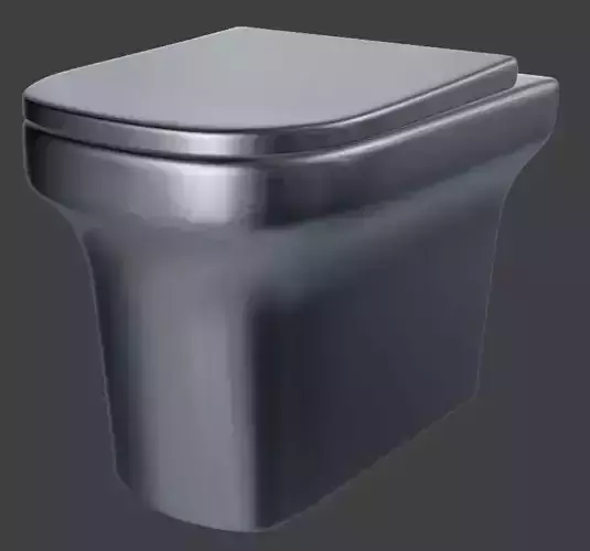Toilet stainless steel seat 3D model