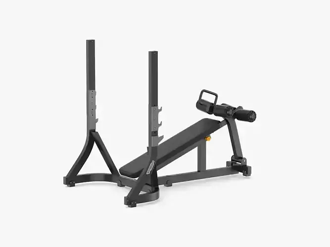 Technogym Pure Olympic Decline Bench