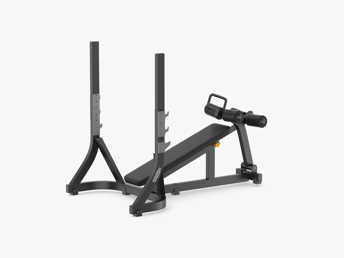 Technogym Pure Olympic Decline Bench 3D model_0