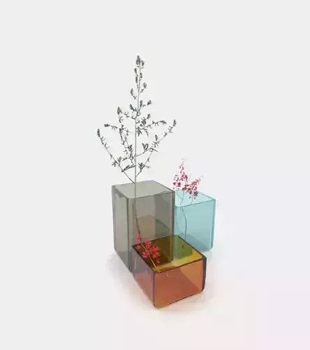 Coloured vases with plants