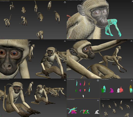 3DMAX model-monkey-bound skeleton 3D model