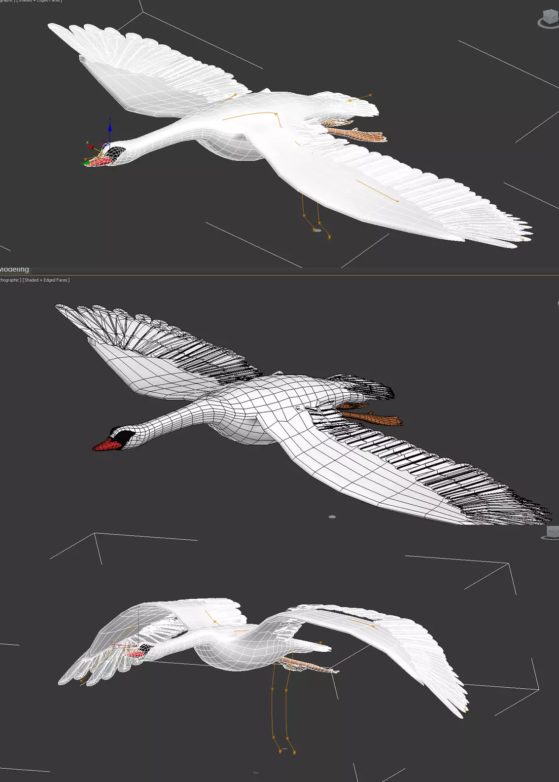 3DMAX model - Swan has skeleton and animation 3D model_0