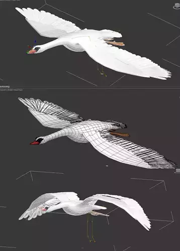 3DMAX model - Swan has skeleton and animation 3D model