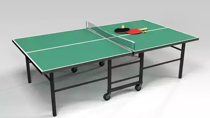 Ping Pong Table