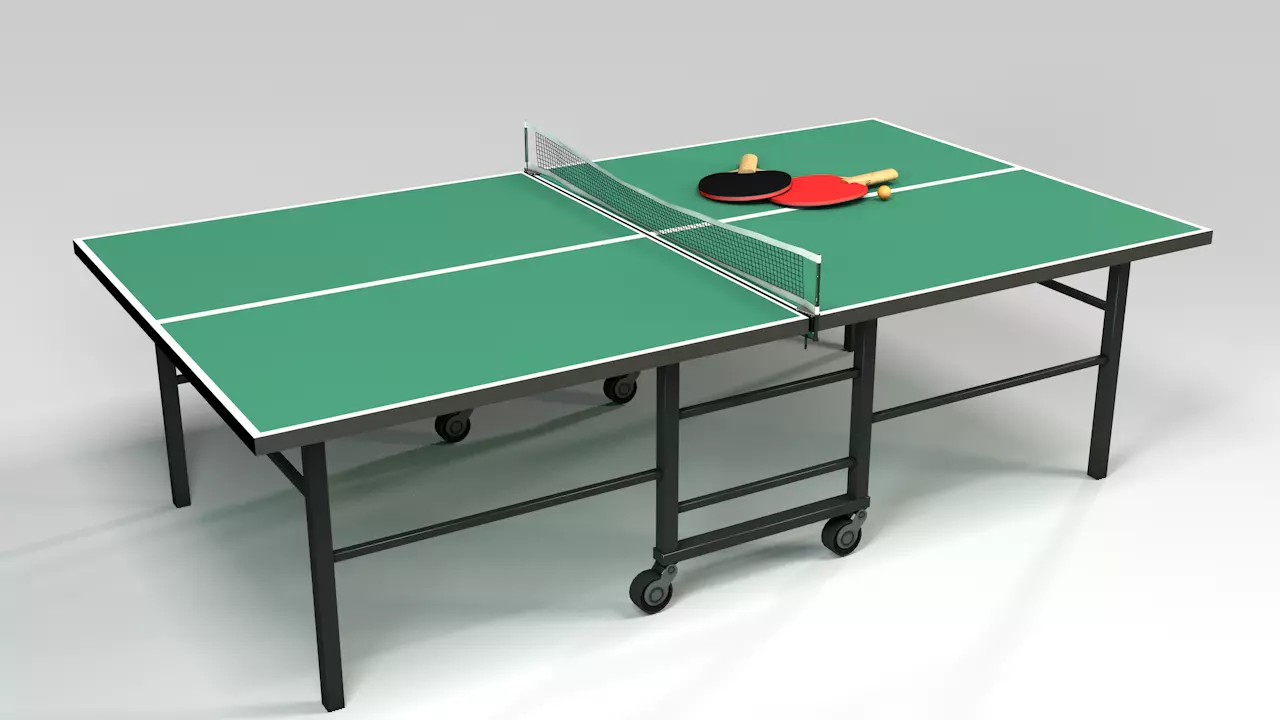 Ping Pong Table 3D model_0