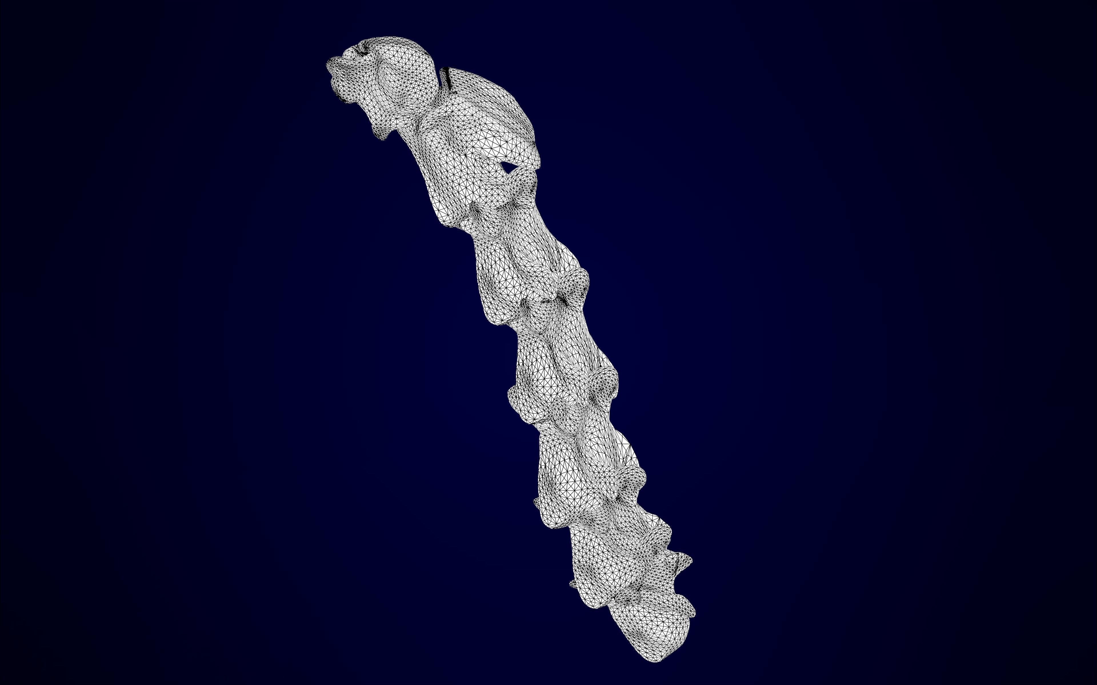 Pegasus Skeleton 3D model_11