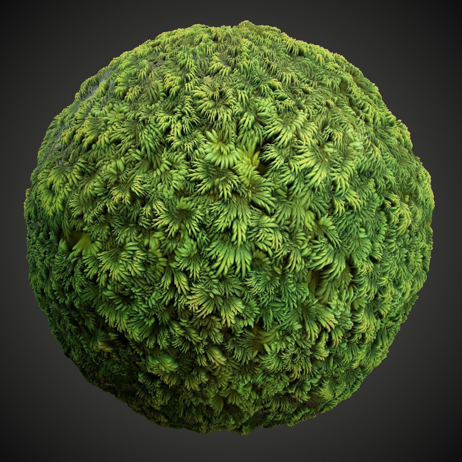 Stylized Summer Forest Materials Texture_5