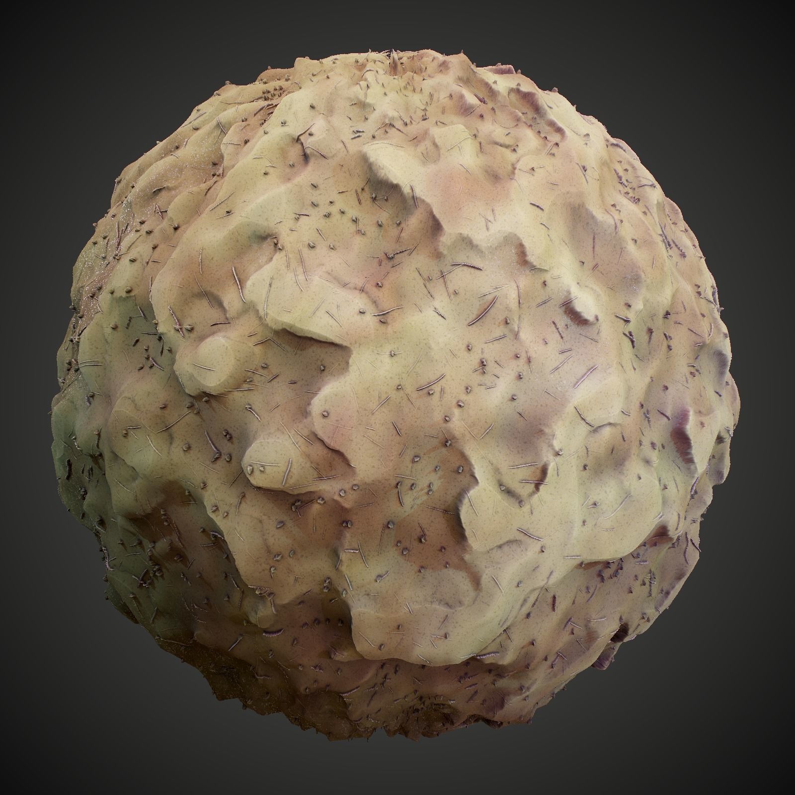 Stylized Summer Forest Materials Texture_8