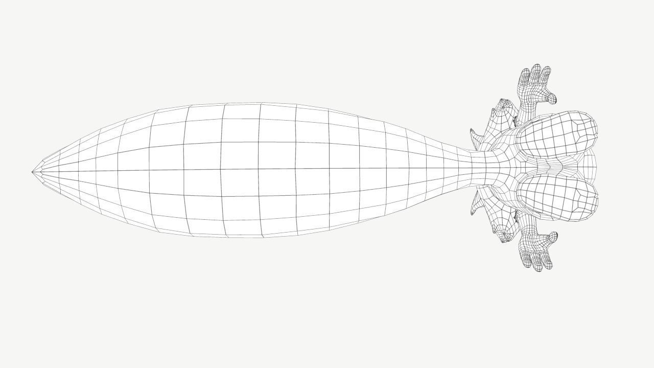 Cartoon Skunk Low-poly 3D model_11