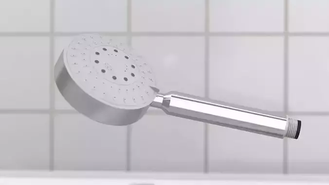 Stainless Steel 5-function hand shower