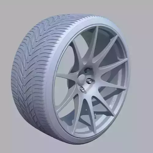 Car wheel disk and tire