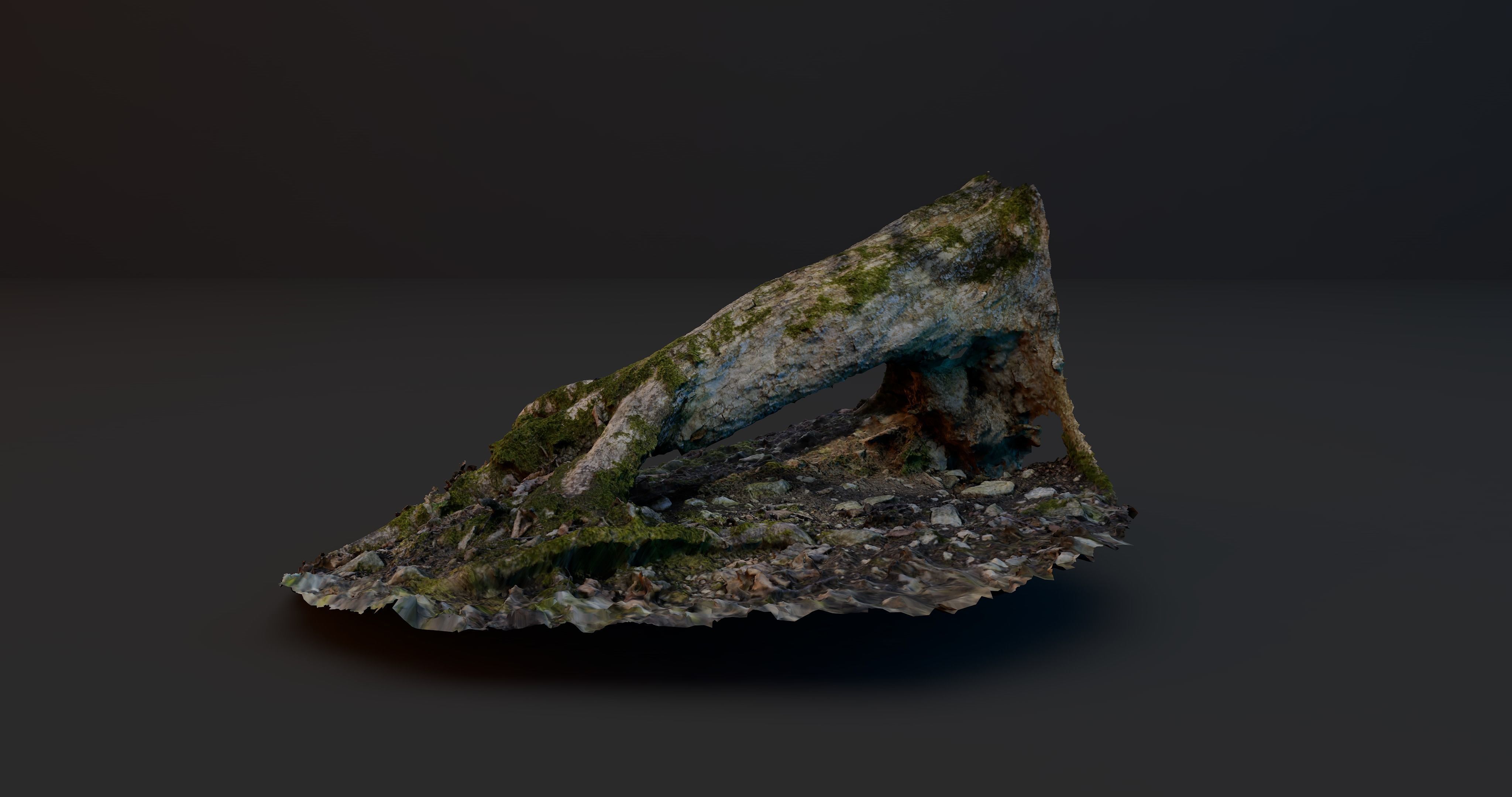 Rotten Tree - Deadwood 3 3D model_2