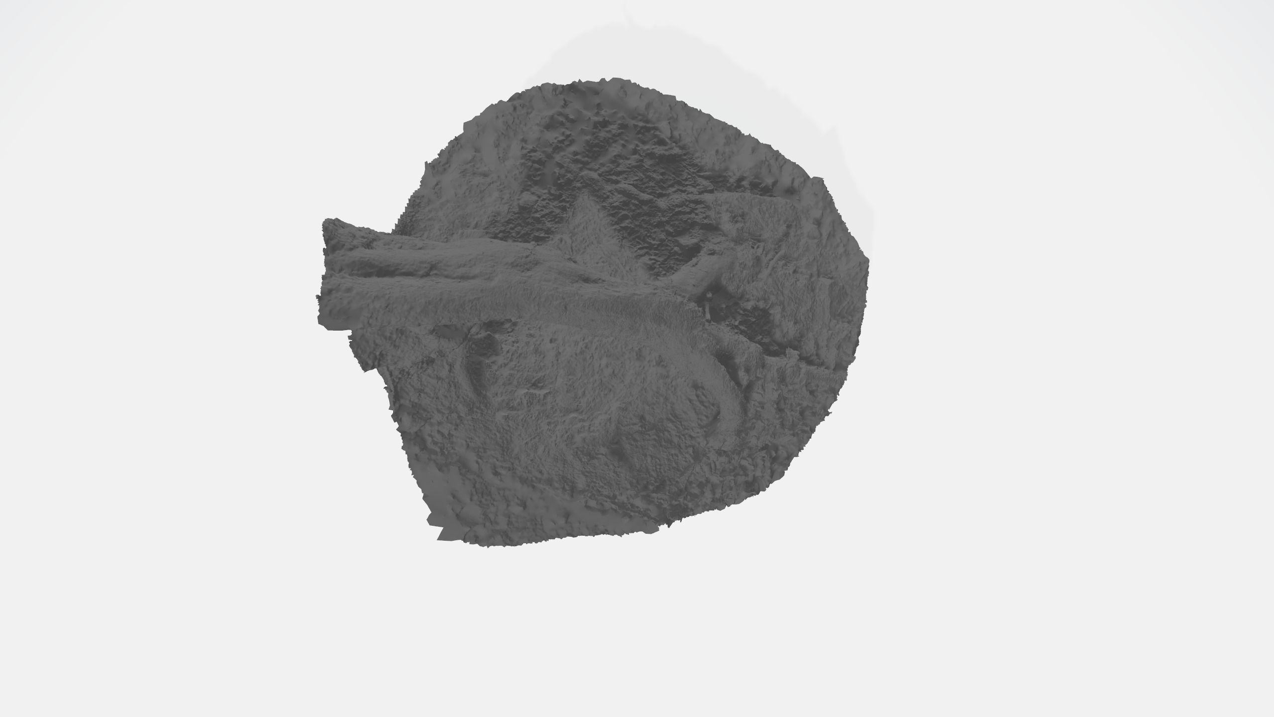 Rotten Tree - Deadwood 3 3D model_5