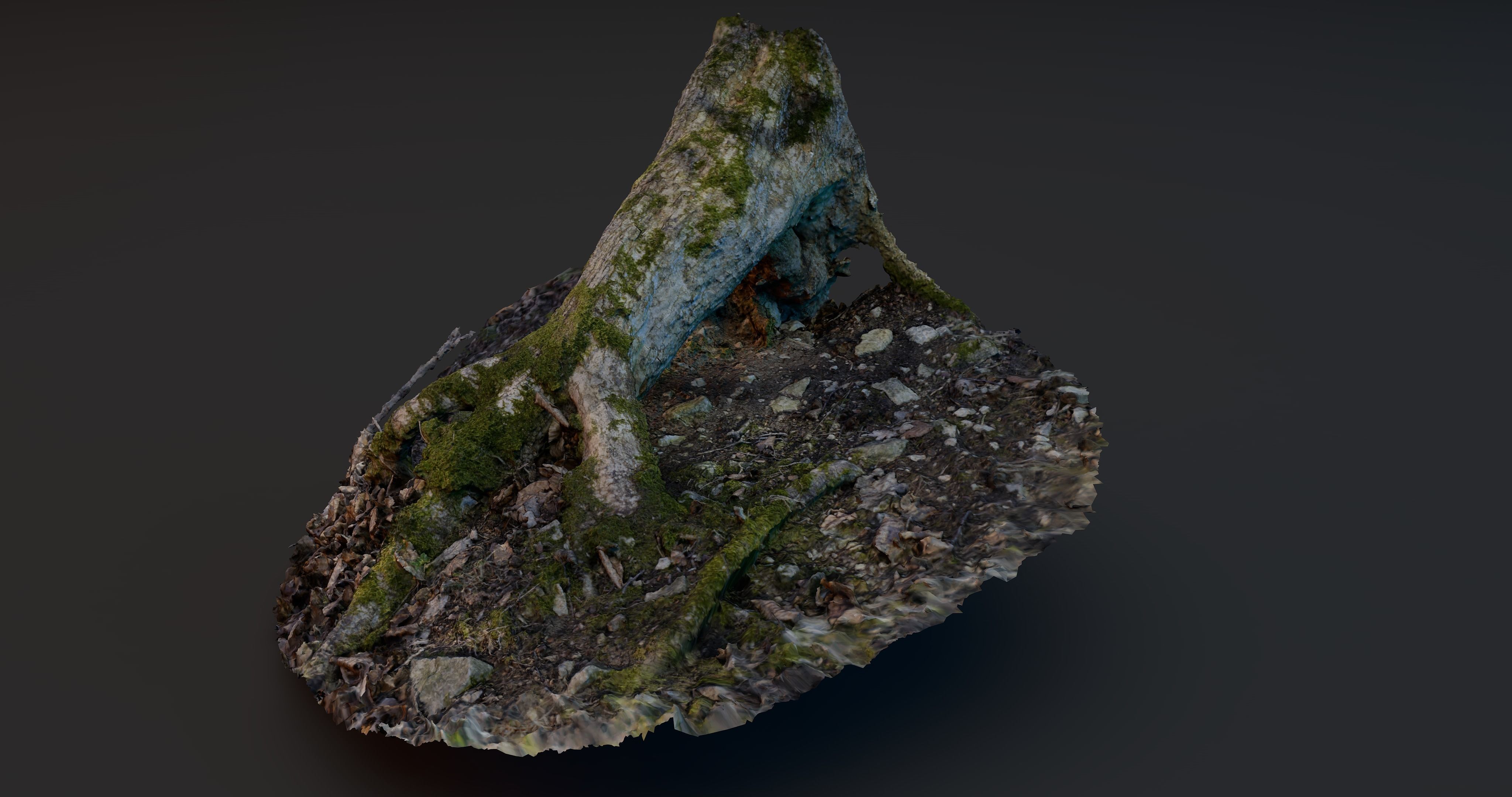 Rotten Tree - Deadwood 3 3D model_1