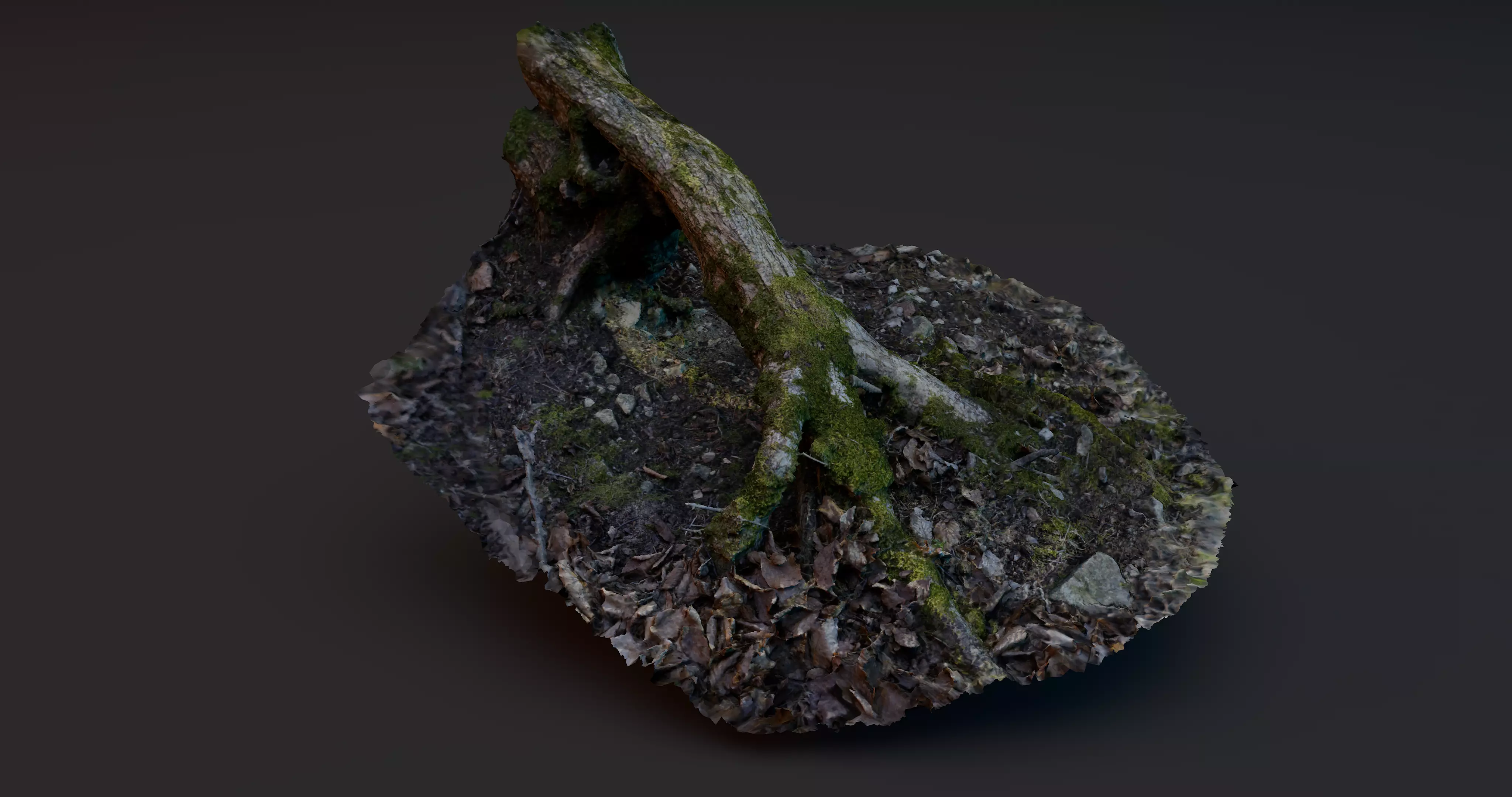 Rotten Tree - Deadwood 3 3D model_0