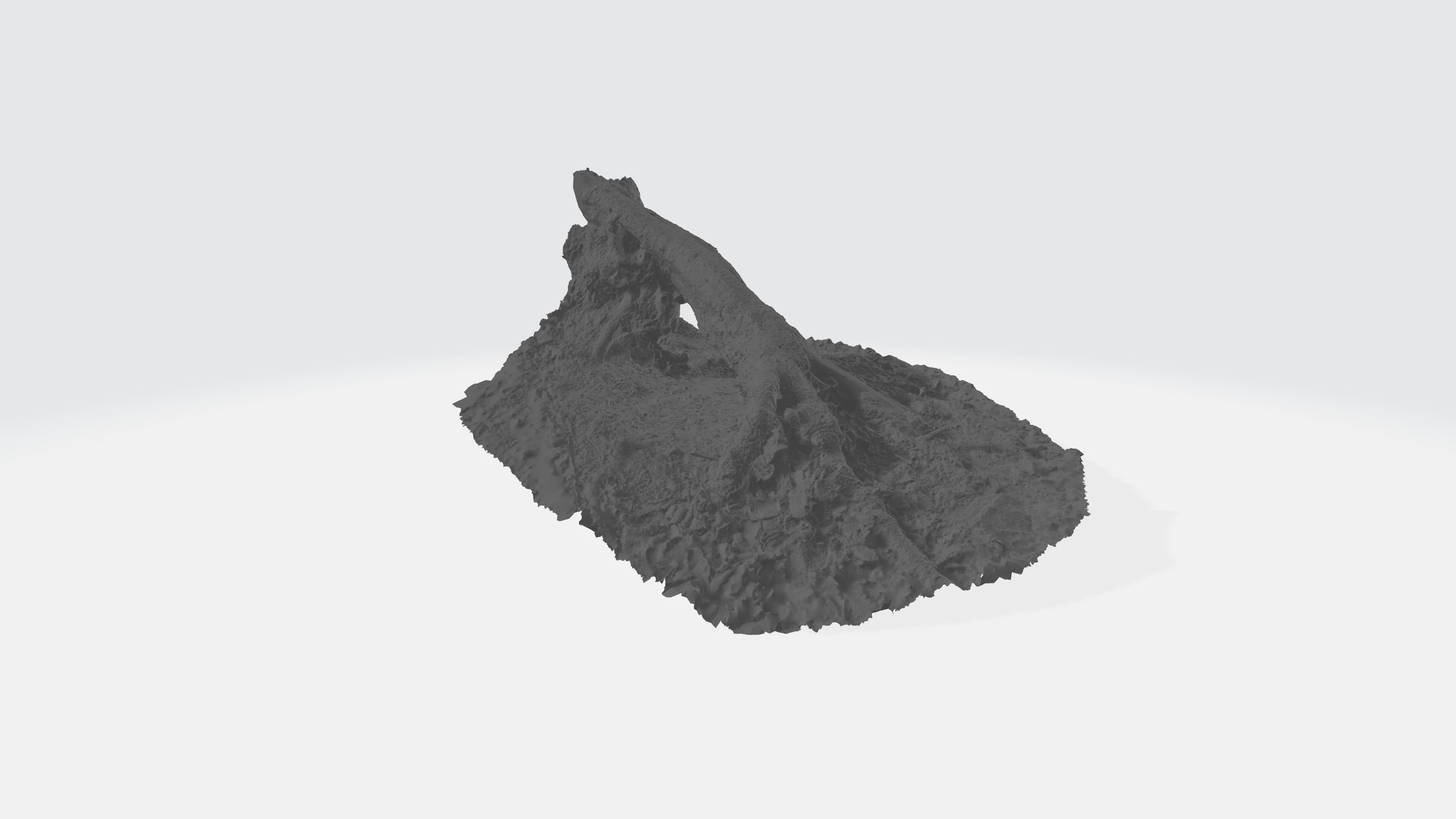 Rotten Tree - Deadwood 3 3D model_3