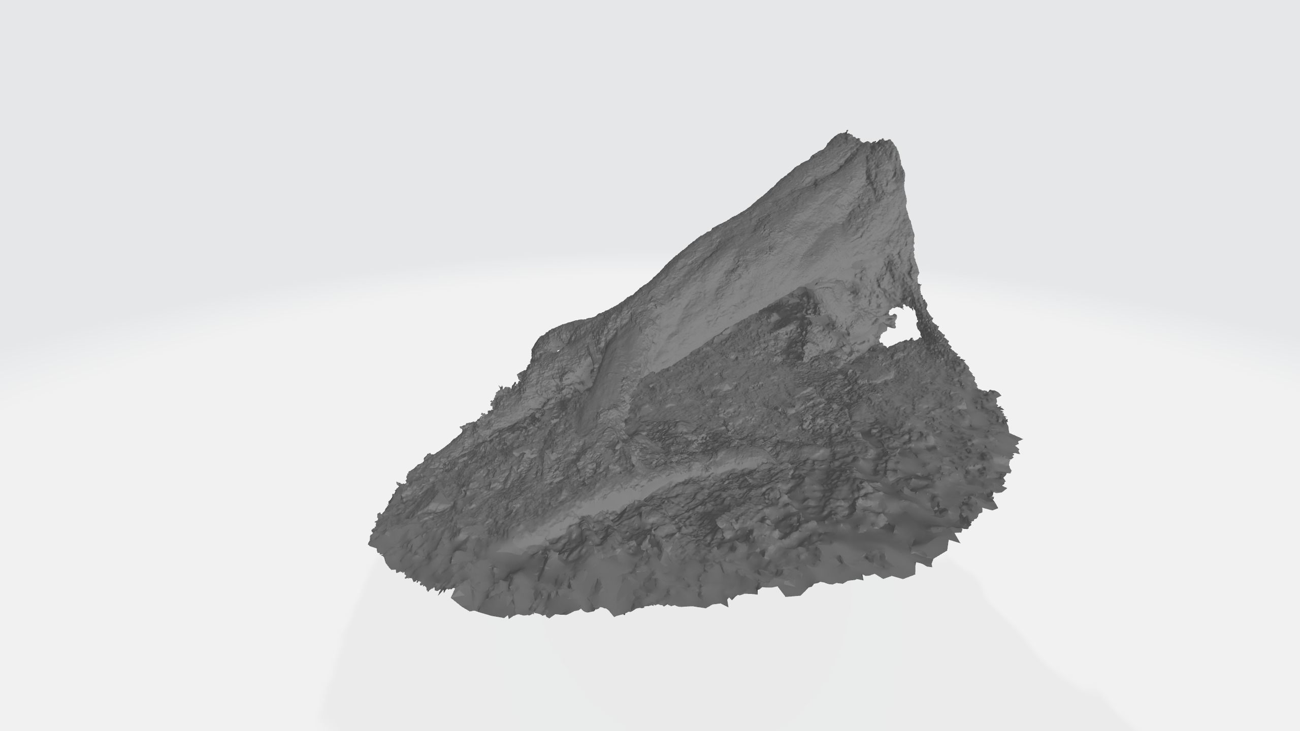 Rotten Tree - Deadwood 3 3D model_4