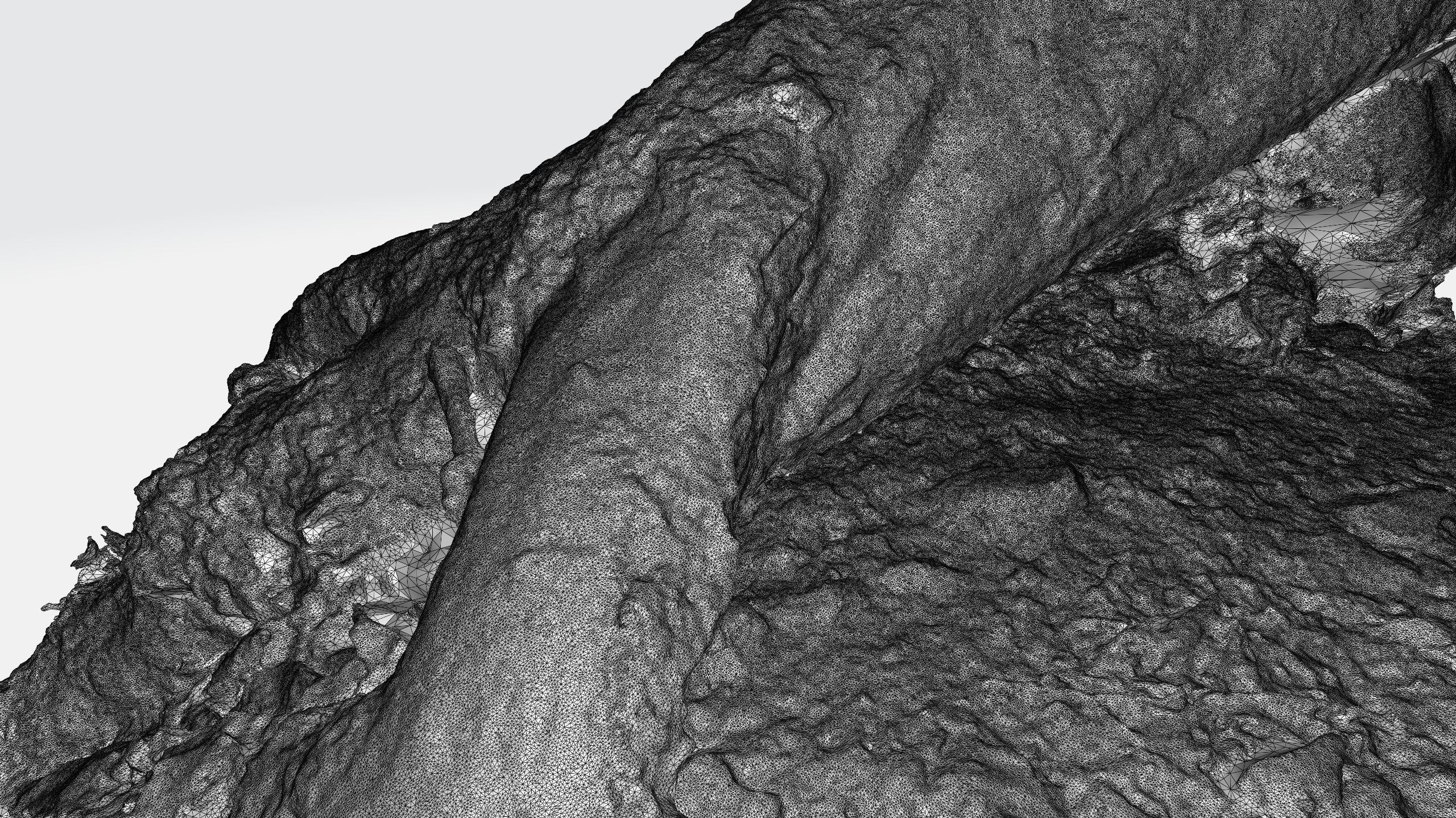 Rotten Tree - Deadwood 3 3D model_6