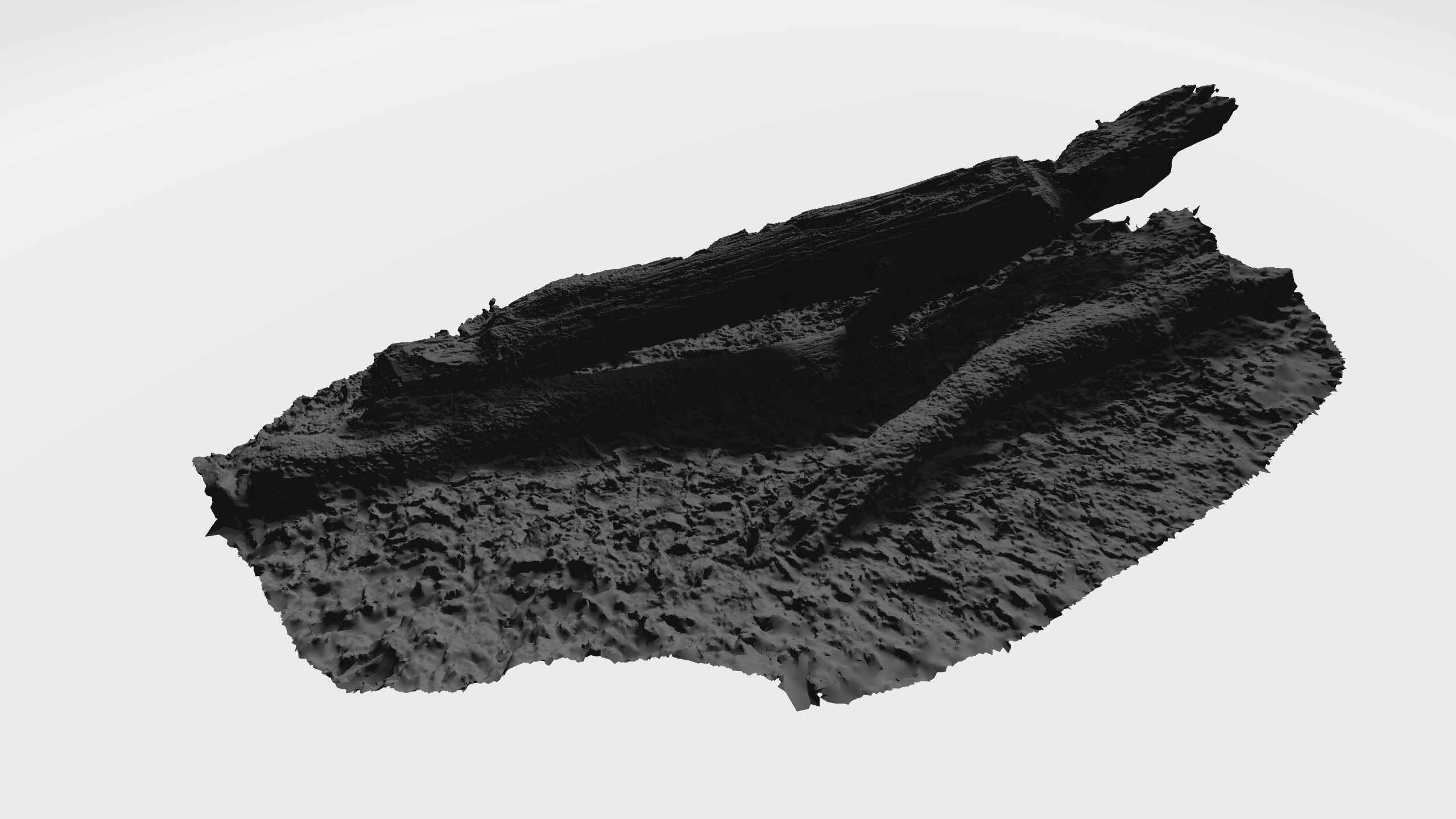 Rotten Tree - Deadwood 4 3D model_3