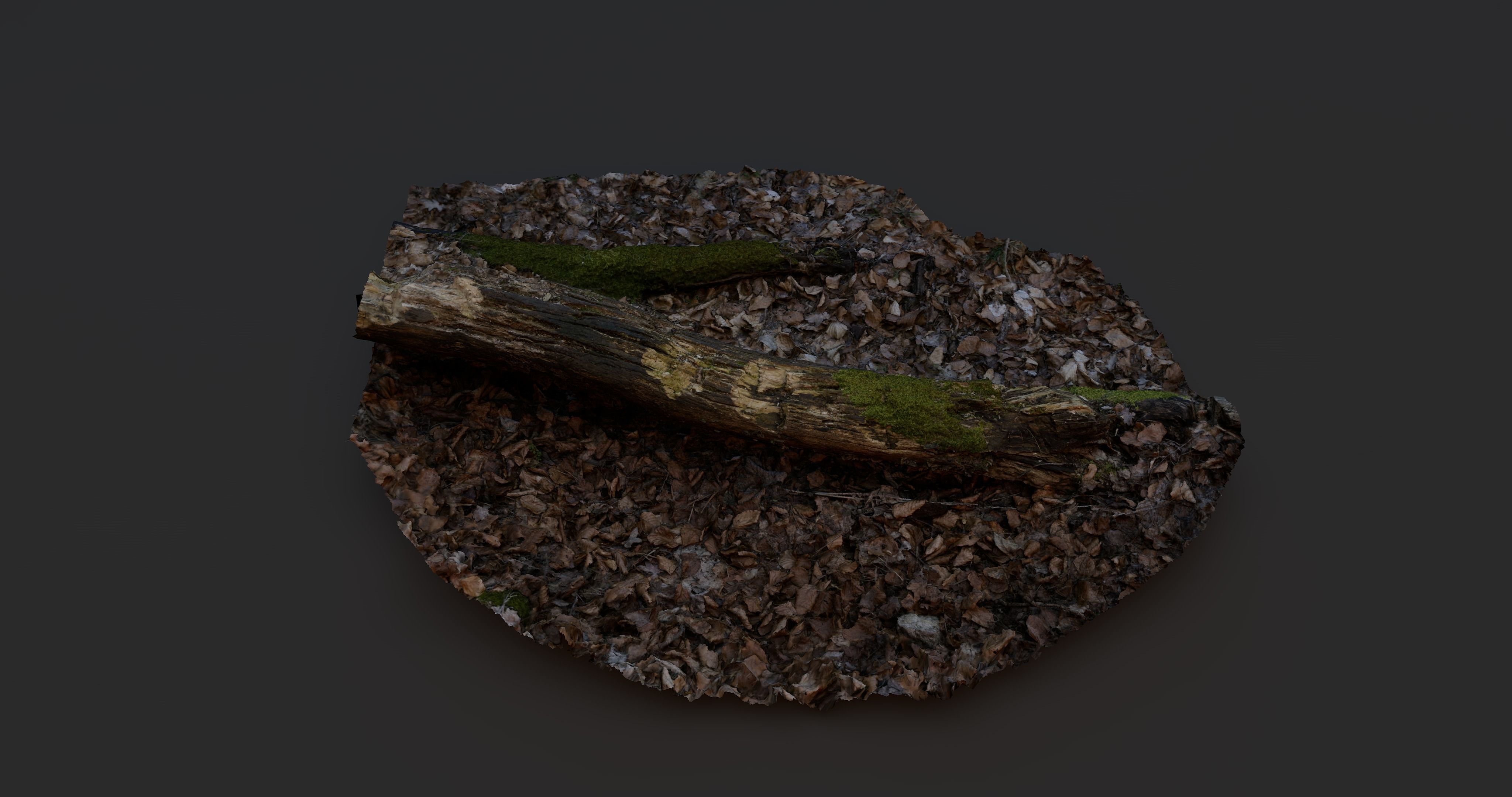 Rotten Tree - Deadwood 4 3D model_2