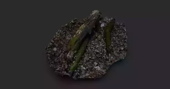 Rotten Tree - Deadwood 4 3D model