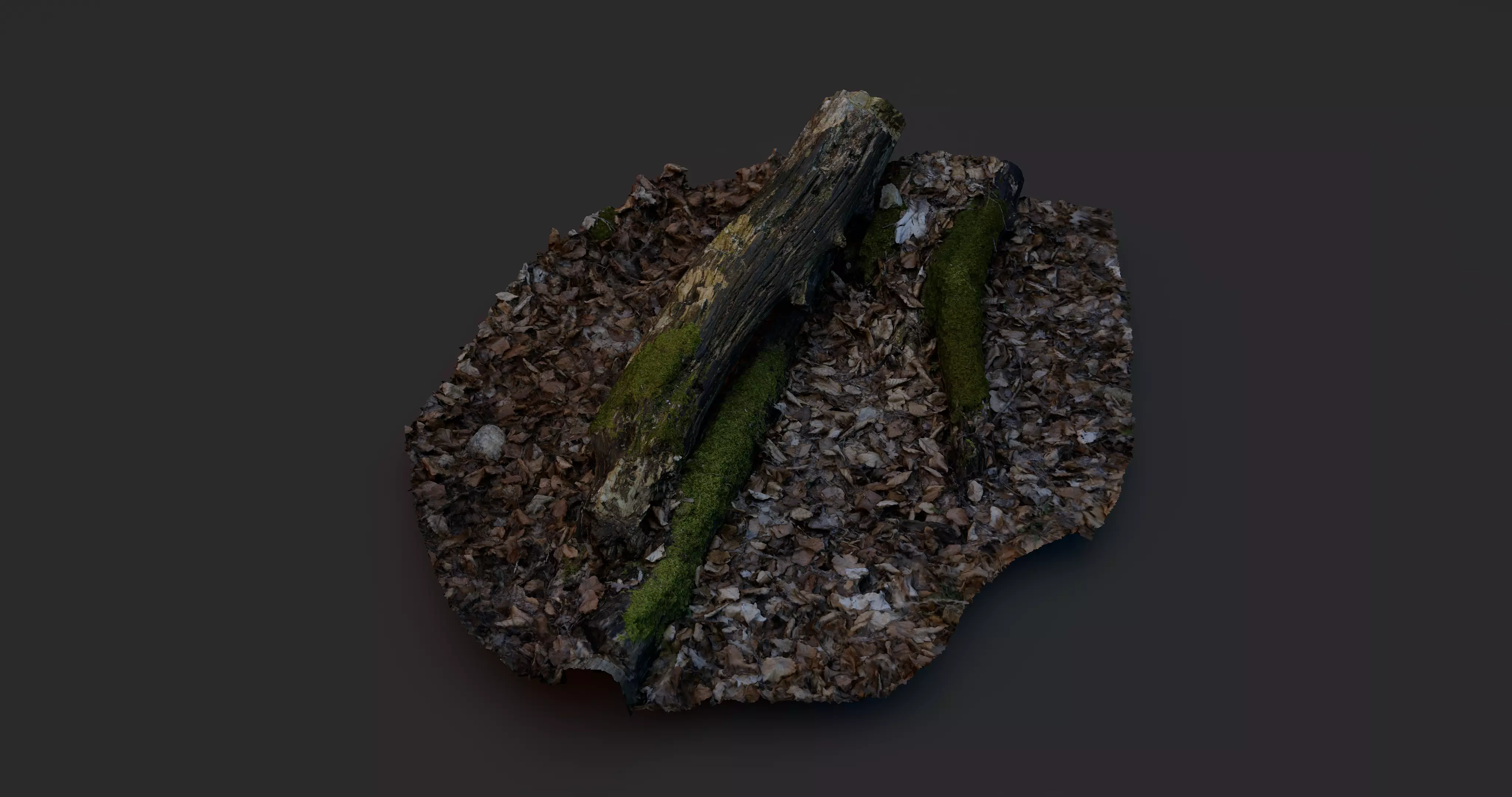 Rotten Tree - Deadwood 4 3D model_0